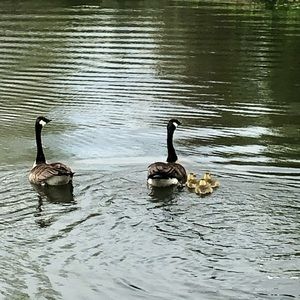 Meet your Posher, Hailey